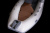Лодка BRIG Falcon F500