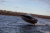 RealCraft 470 Fish